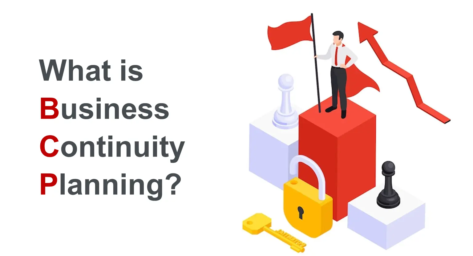 What is BCP (Business Continuity Planning)?
